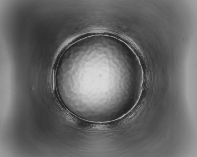 X0000116441175200912151234