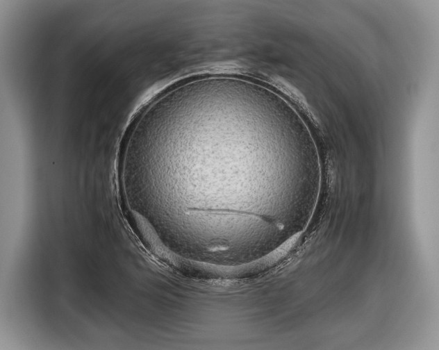 X0000116441176200912151234