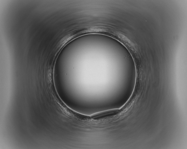 X0000116441177200912151234