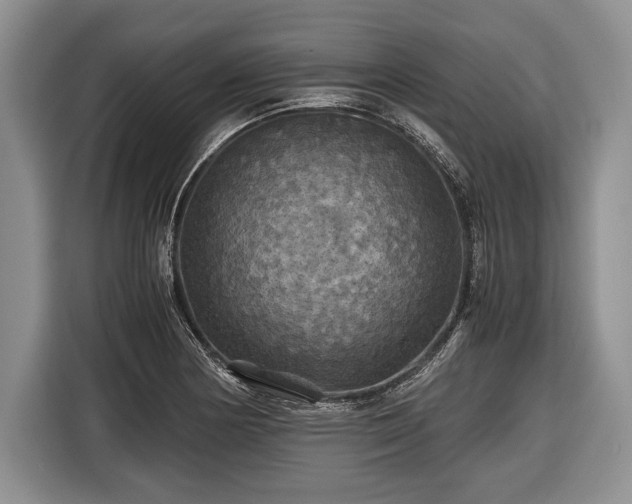 X0000116441178200912151234