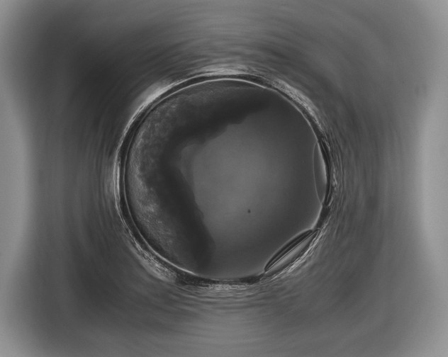 X0000116441179200912151234