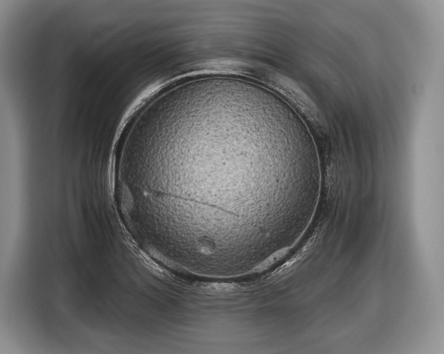 X0000116441180200912151234