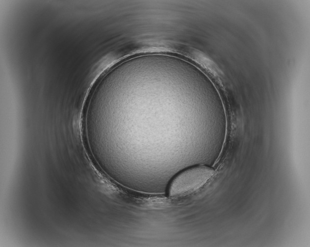 X0000116441181200912151234