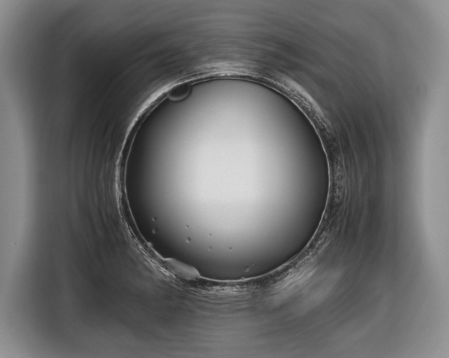 X0000116441182200912151234