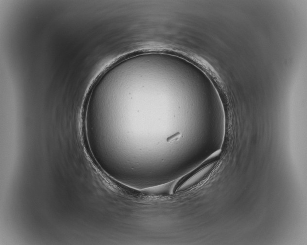 X0000116441183200912151234