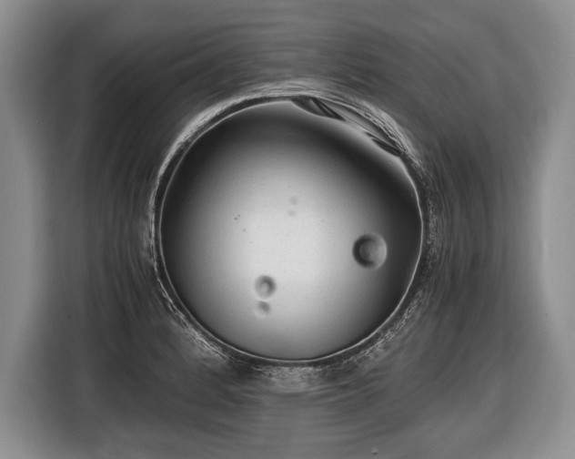 X0000116441184200912151234