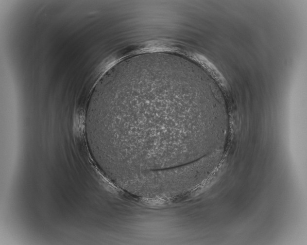 X0000116441185200912151234