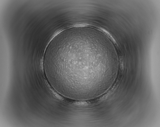 X0000116441186200912151234