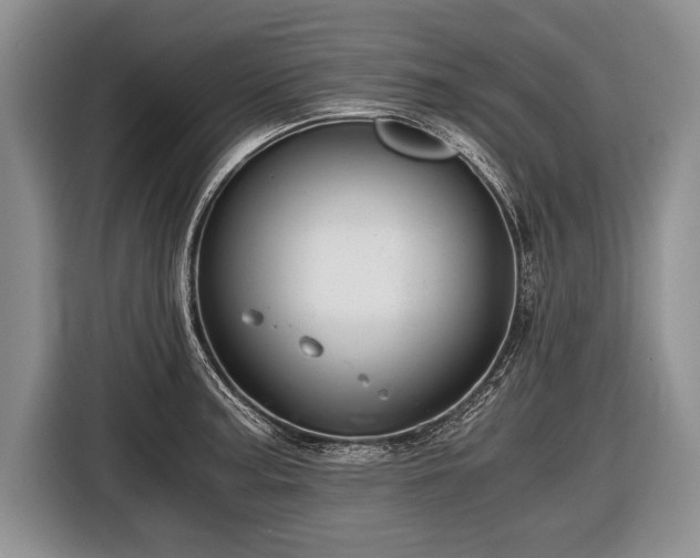 X0000116441187200912151234