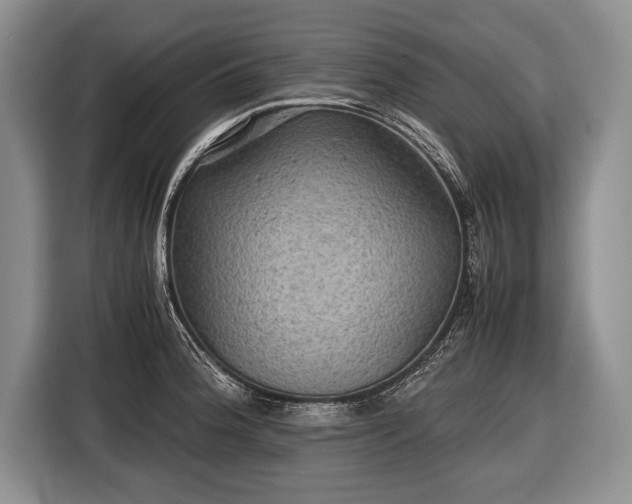 X0000116441188200912151234