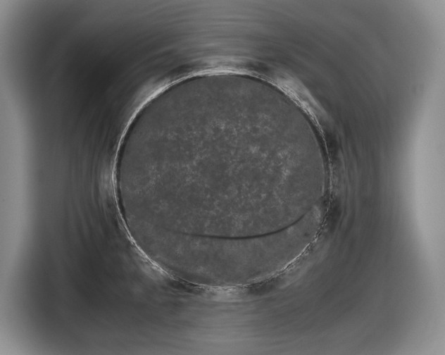 X0000116441189200912151234