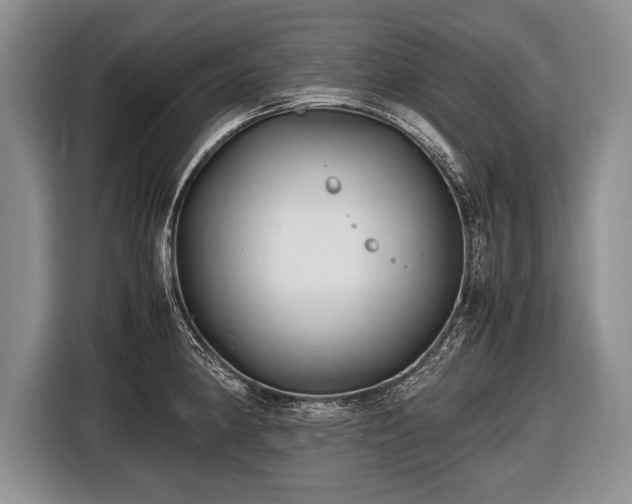 X0000116441190200912151234