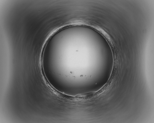 X0000116441191200912151234