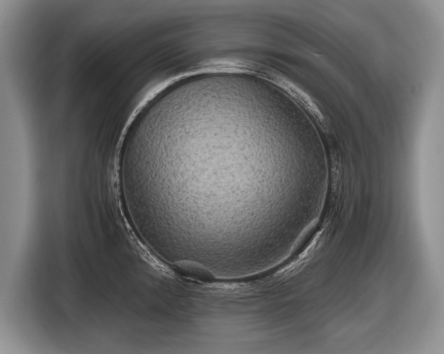 X0000116441192200912151234