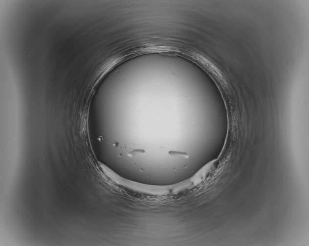 X0000116441193200912151234