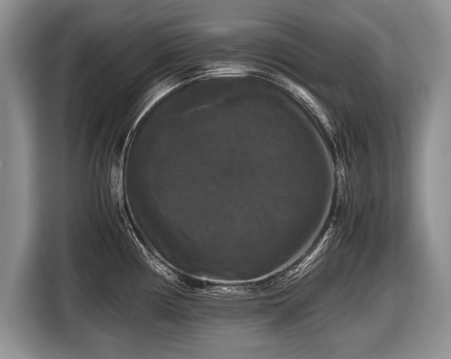 X0000116441194200912151234