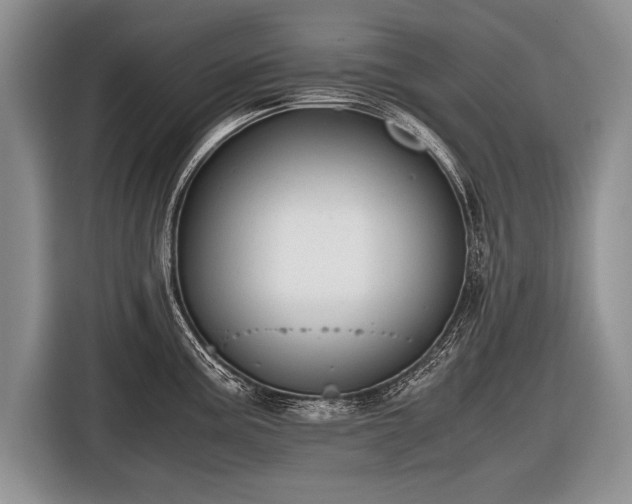 X0000116441195200912151234