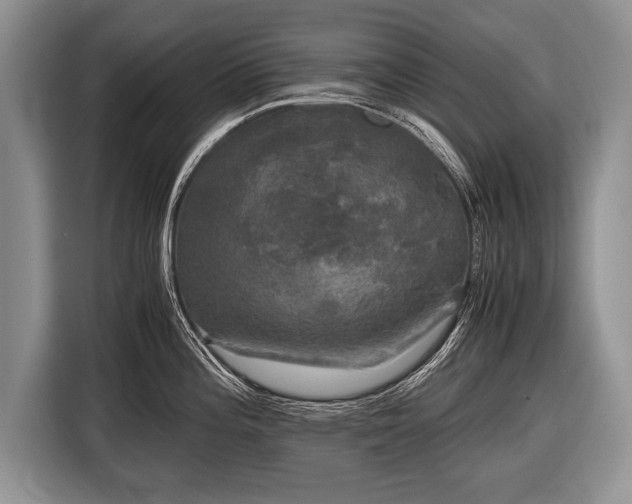 X0000116441196200912151234