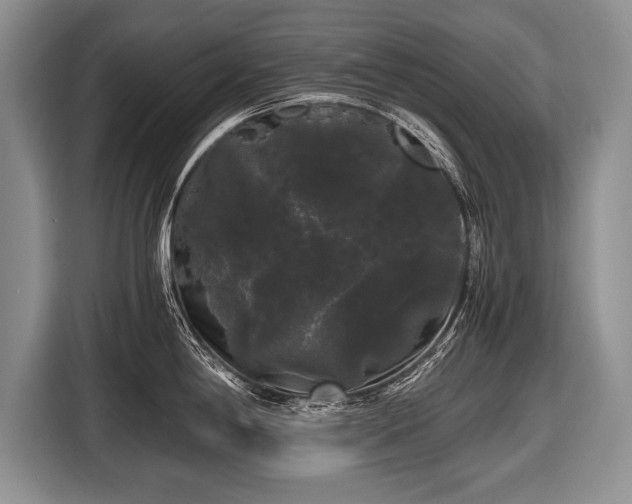X0000116441198200912151234
