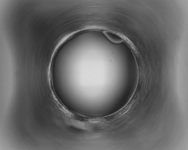X0000116441199200912151234