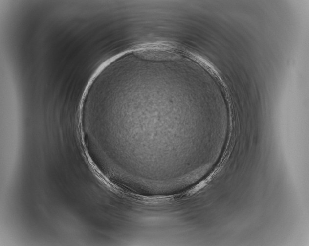 X0000116441200200912151234