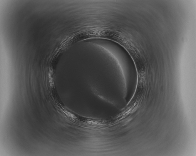 X0000116441202200912151233