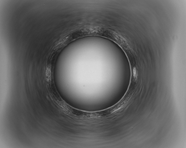 X0000116441203200912151233