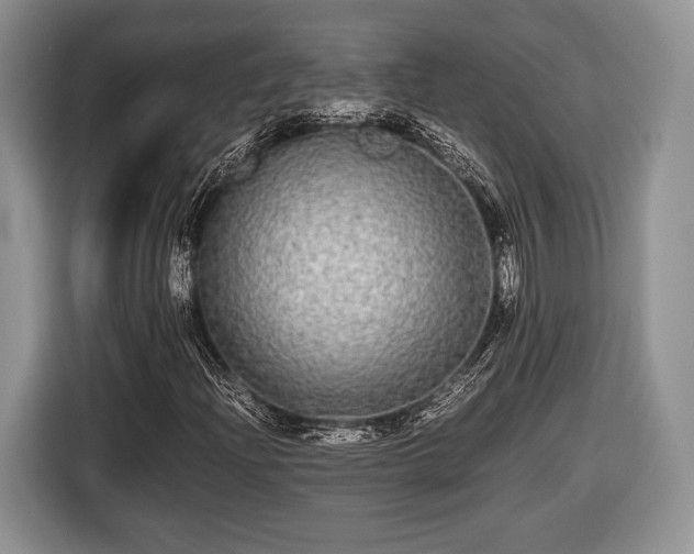 X0000116441204200912151233