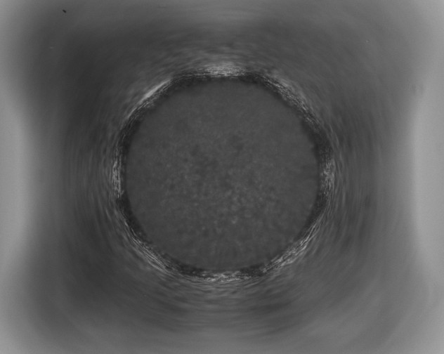X0000116441205200912151233