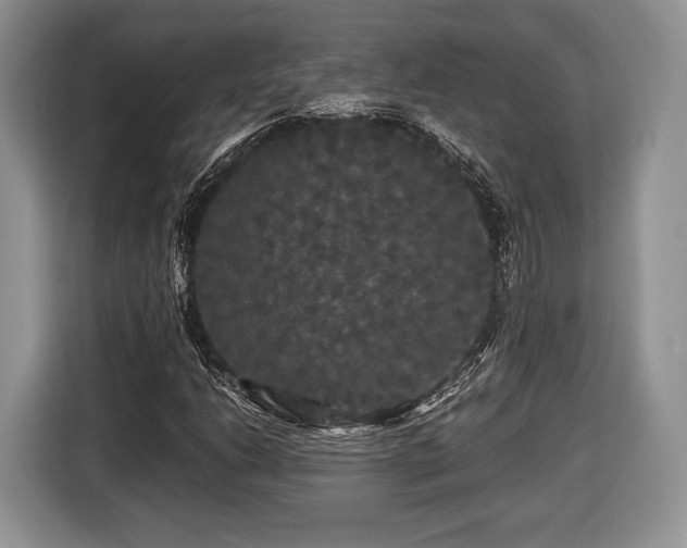 X0000116441206200912151233