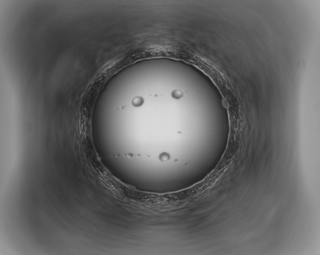 X0000116441207200912151233