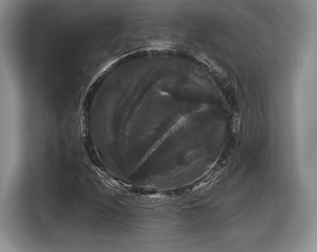 X0000116441208200912151233