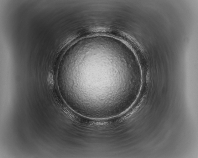 X0000116441209200912151233