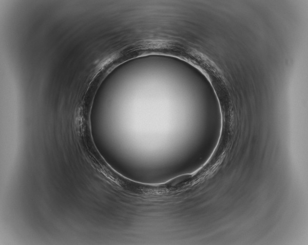 X0000116441210200912151233