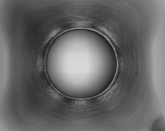 X0000116441211200912151233