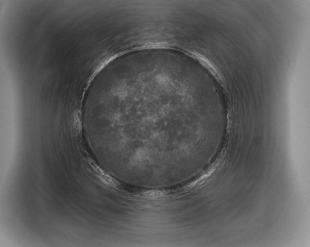 X0000116441212200912151233