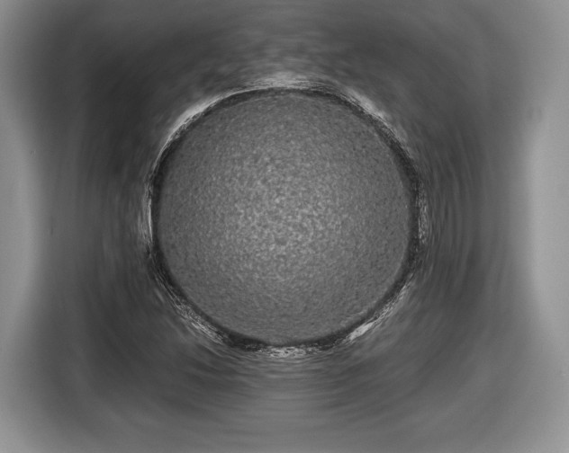 X0000116441214200912151233