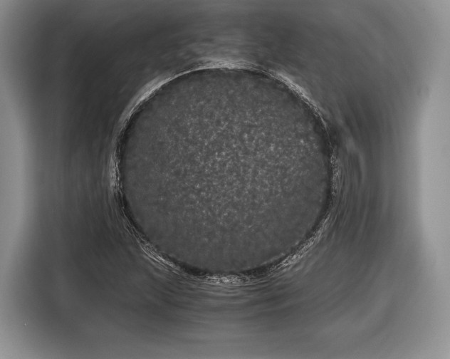 X0000116441215200912151233