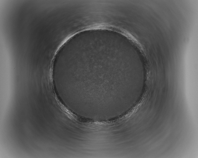 X0000116441216200912151233