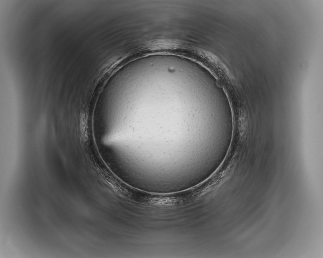 X0000116441217200912151233