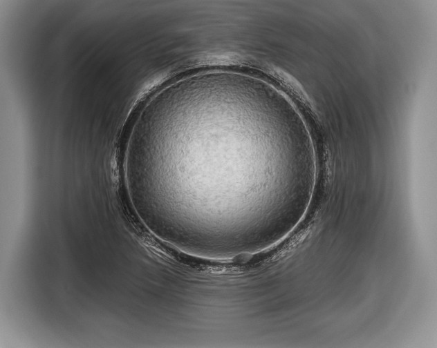 X0000116441218200912151233