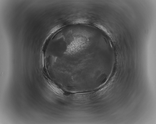 X0000116441219200912151233