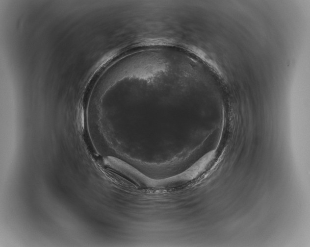 X0000116441221200912151233