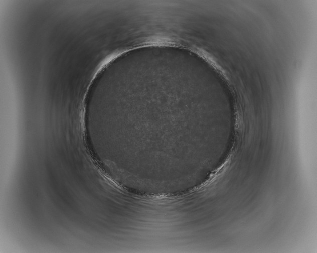X0000116441222200912151233