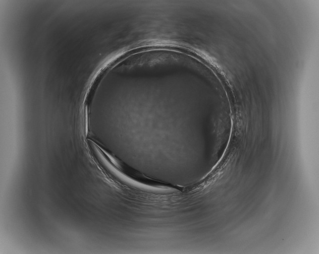 X0000116441223200912151233