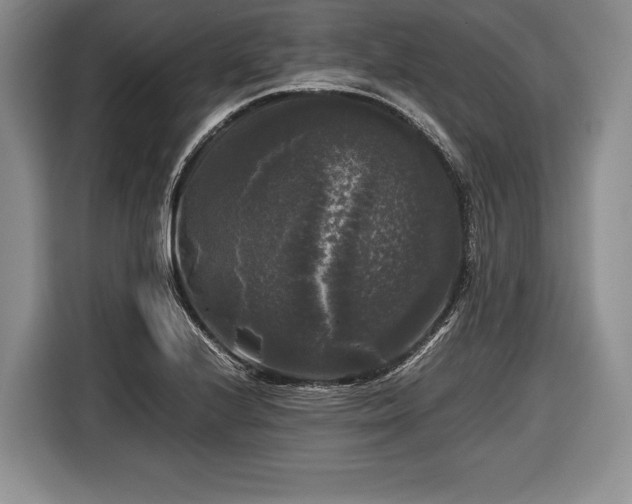 X0000116441224200912151233