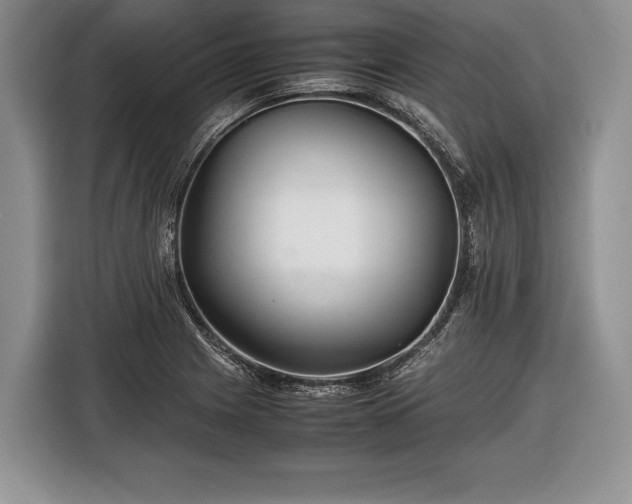X0000116441225200912151233