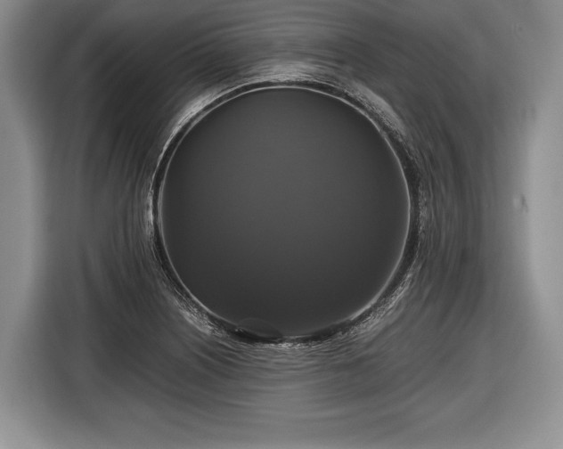 X0000116441226200912151233