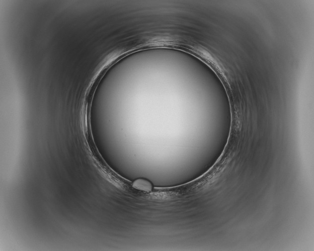 X0000116441227200912151233