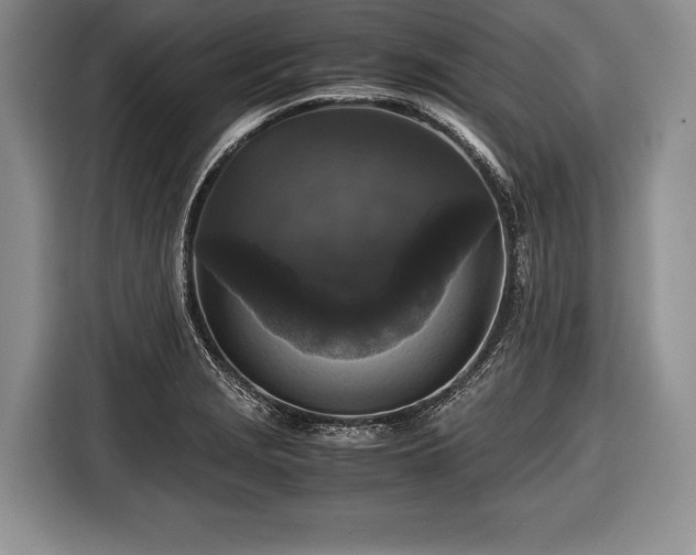 X0000116441229200912151233